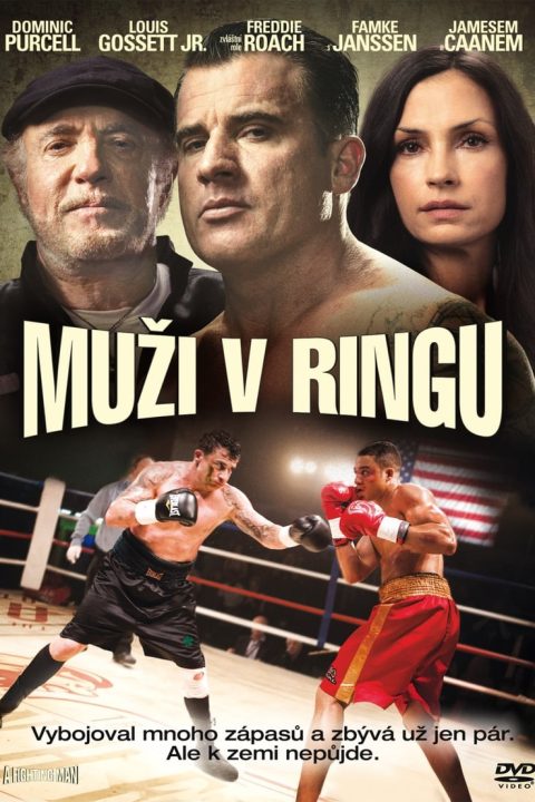 Muži v ringu