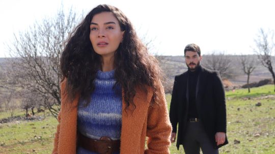 Hercai - 24. epizoda