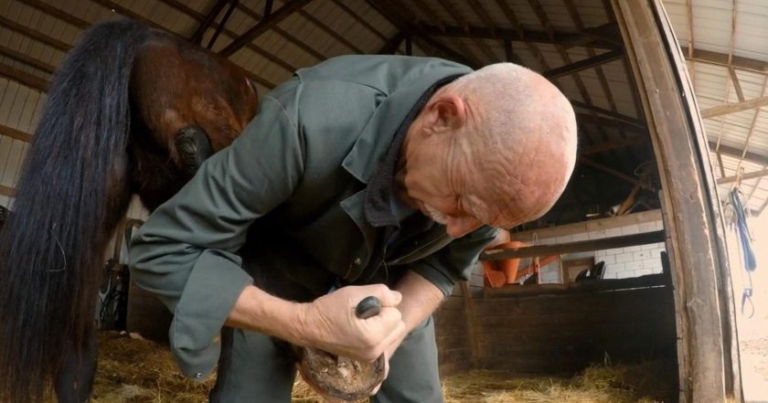 The Incredible Dr. Pol