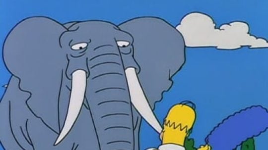 Simpsonovi - Bart dostane slona