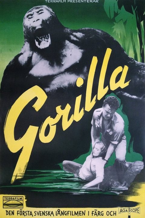 Gorilla