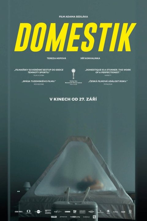 Domestik