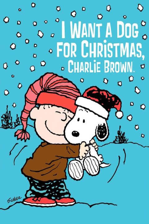 Plakát I Want a Dog for Christmas, Charlie Brown