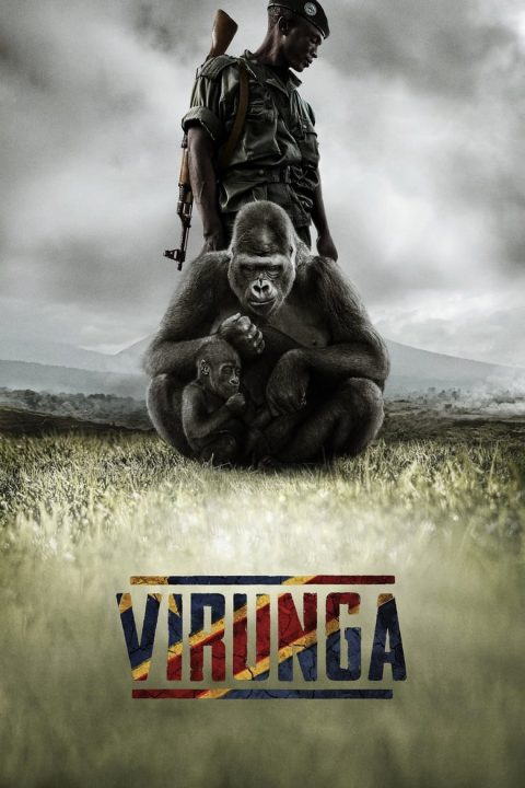 Plakát Virunga