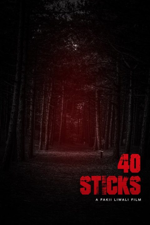 Plakát 40 Sticks