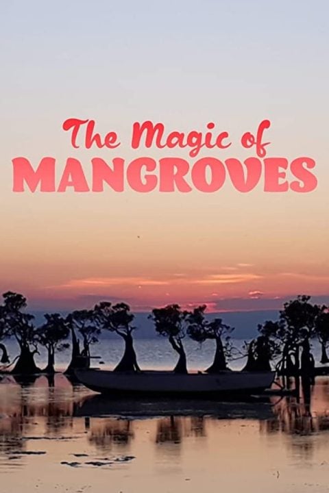 Plakát The Magic of Mangroves