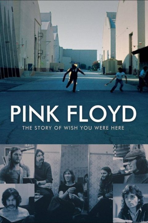 Plakát Pink Floyd: The Story of Wish You Were Here