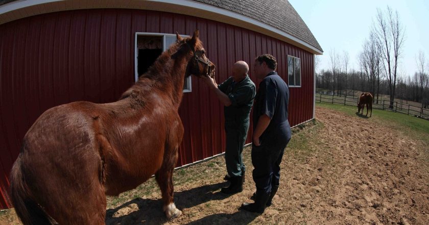 The Incredible Dr. Pol