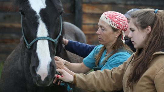 Dr. Oakley, Yukon Vet - 8. epizoda