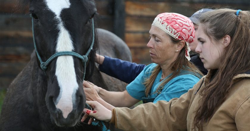 Dr. Oakley, Yukon Vet