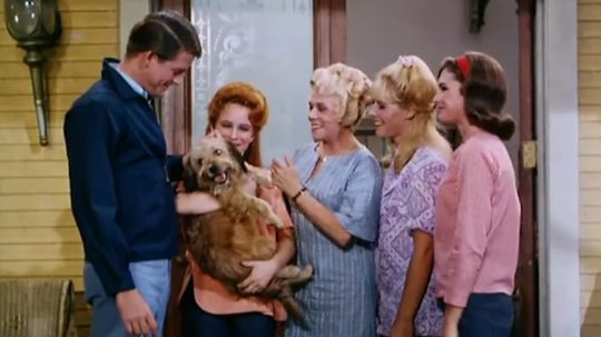 Petticoat Junction - 16. epizoda