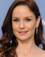 Sarah Wayne Callies