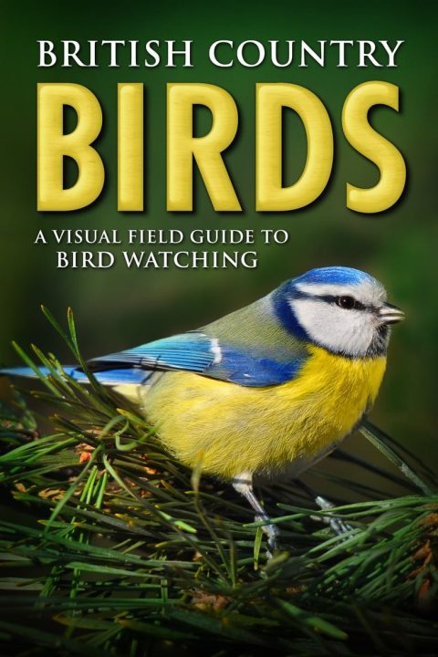 Plakát British Country Birds: A Visual Field Guide to Bird Watching