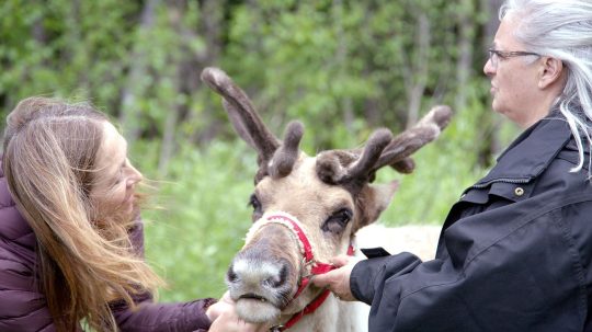 Dr. Oakley, Yukon Vet - 12. epizoda