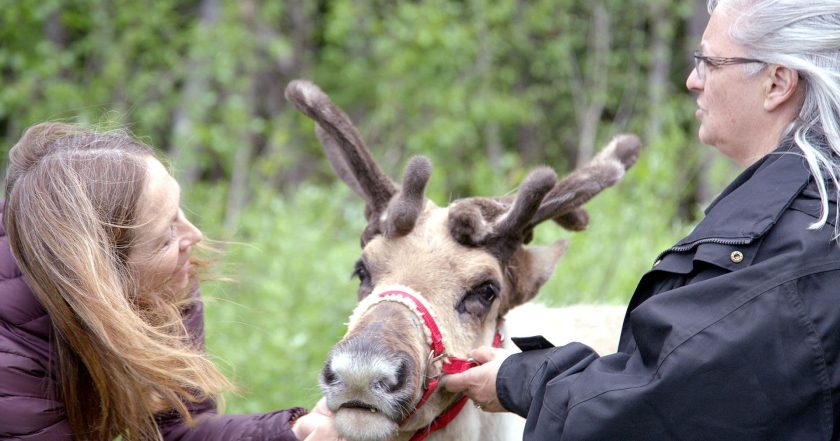 Dr. Oakley, Yukon Vet