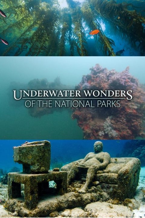 Underwater Wonders Of The National Parks