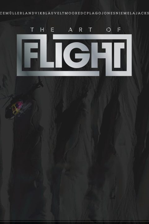 Plakát The Art of Flight - Behind the Scenes