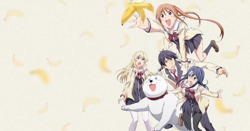 Aho Girl