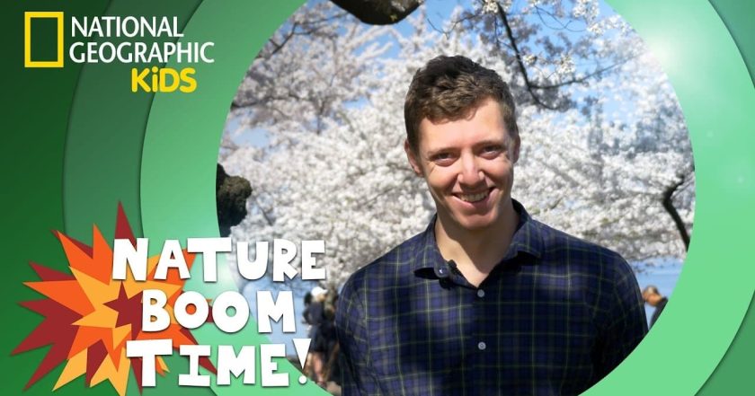 Nature Boom Time