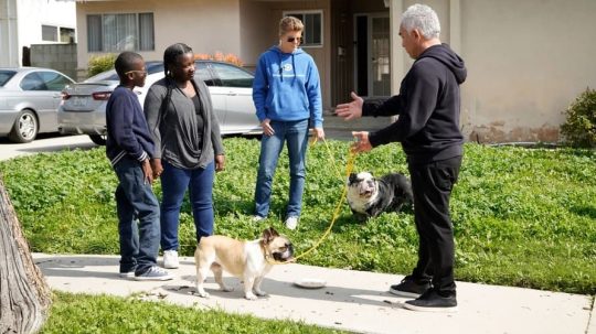 Cesar Millan: Jaký pán, takový pes - 2. epizoda