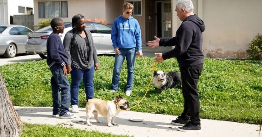 Cesar Millan: Jaký pán, takový pes