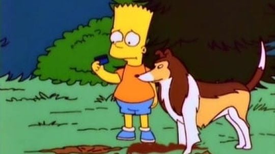 Simpsonovi - Psí pozdvižení