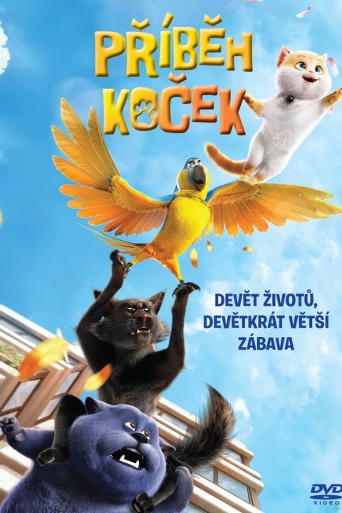 Příběh koček