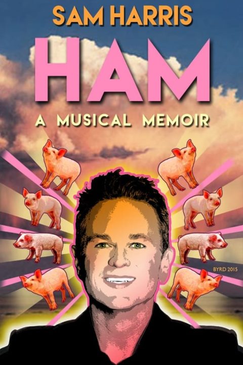 Plakát HAM: A Musical Memoir