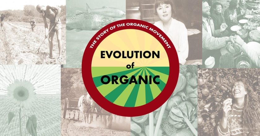 Evolution of Organic