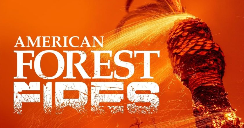 American Forest Fires: The Untold Story