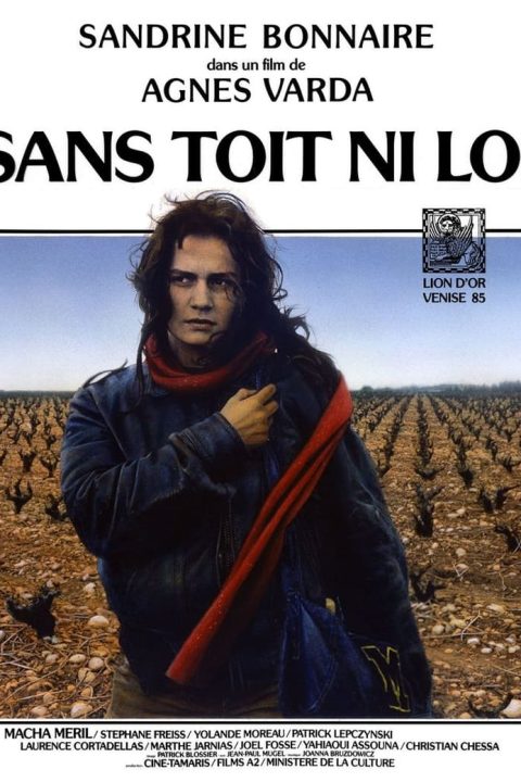 Sans toit ni loi