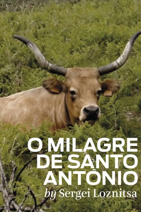 Plakát O milagre de Santo Antonio