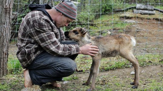 Dr. Oakley, Yukon Vet - 4. epizoda