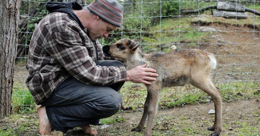 Dr. Oakley, Yukon Vet