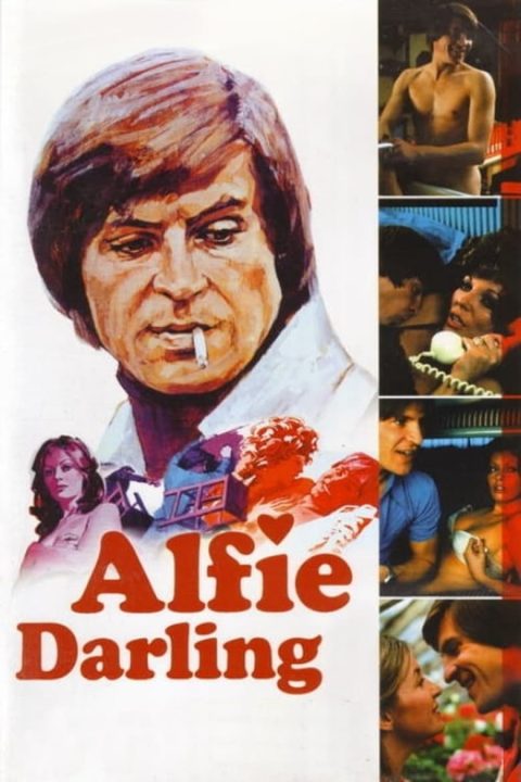 Plakát Alfie Darling