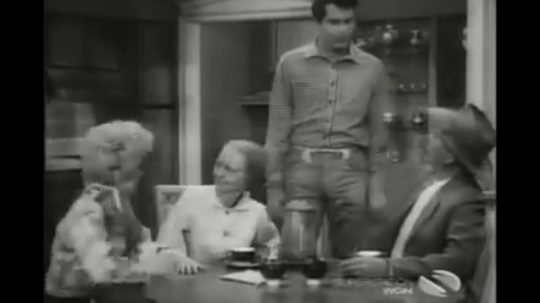 The Beverly Hillbillies - 34. epizoda