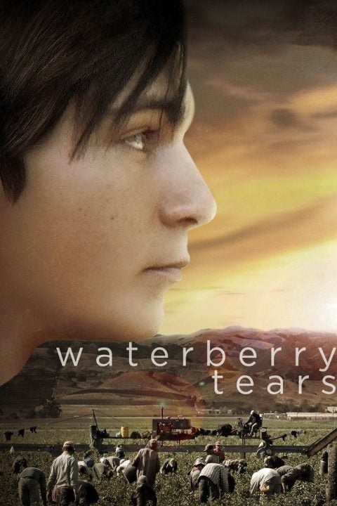 Plakát Waterberry Tears