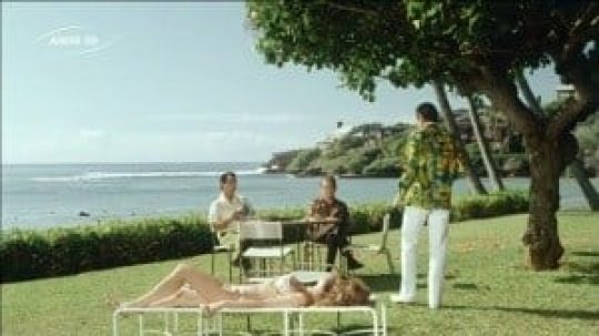 Hawaii Five-O - 24. epizoda