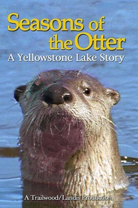 Seasons of the Otter