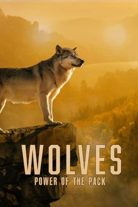 Wolves: Power of the Pack