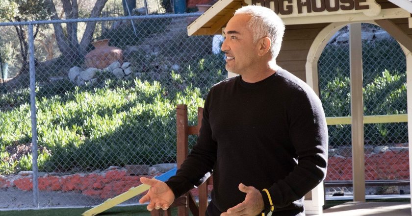 Cesar Millan: Jaký pán, takový pes