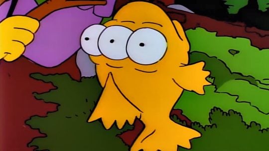 Simpsonovi - Kdo s koho