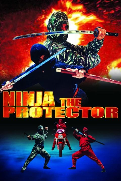 Plakát Ninja the Protector