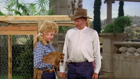 The Beverly Hillbillies - 2. epizoda