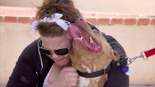 Pit Bulls and Parolees - 8. epizoda