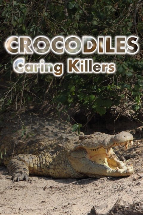 Plakát Crocodiles: Caring Killers