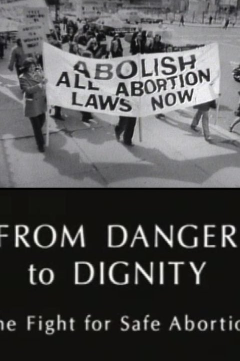 Plakát From Danger to Dignity: The Fight For Safe Abortion