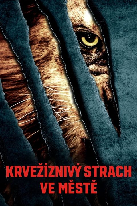 Krvežíznivý strach ve městě