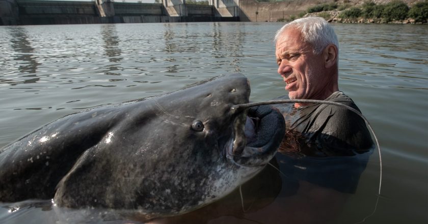 Jeremy Wade's Dark Waters