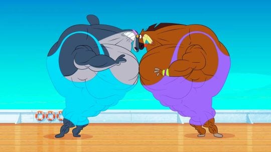 Zig a Sharko - The Fitness Session